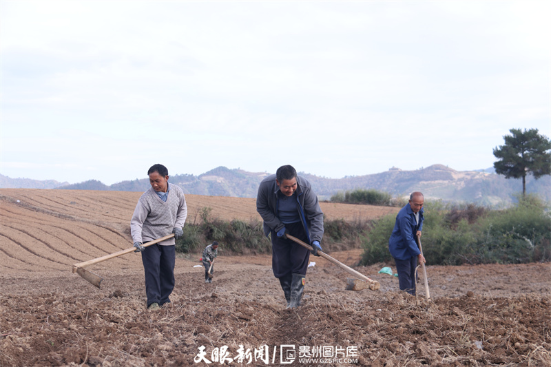 来源 贵州图片库作者 胡国鑫编辑 邓刚 芦晓娟编审 成嘉廷 李勇